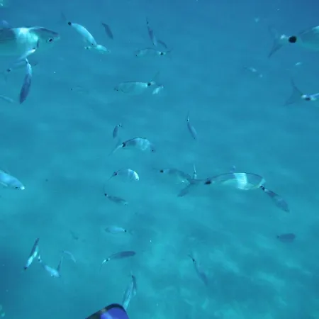 公寓 46 Metri Dalla Spiaggia *